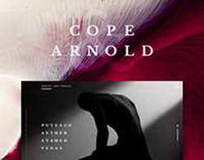 Развитие комплекса Безопасный город продолжается в Псковской области